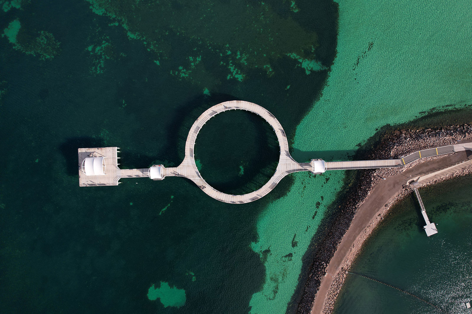 Decarbonozation Carousel