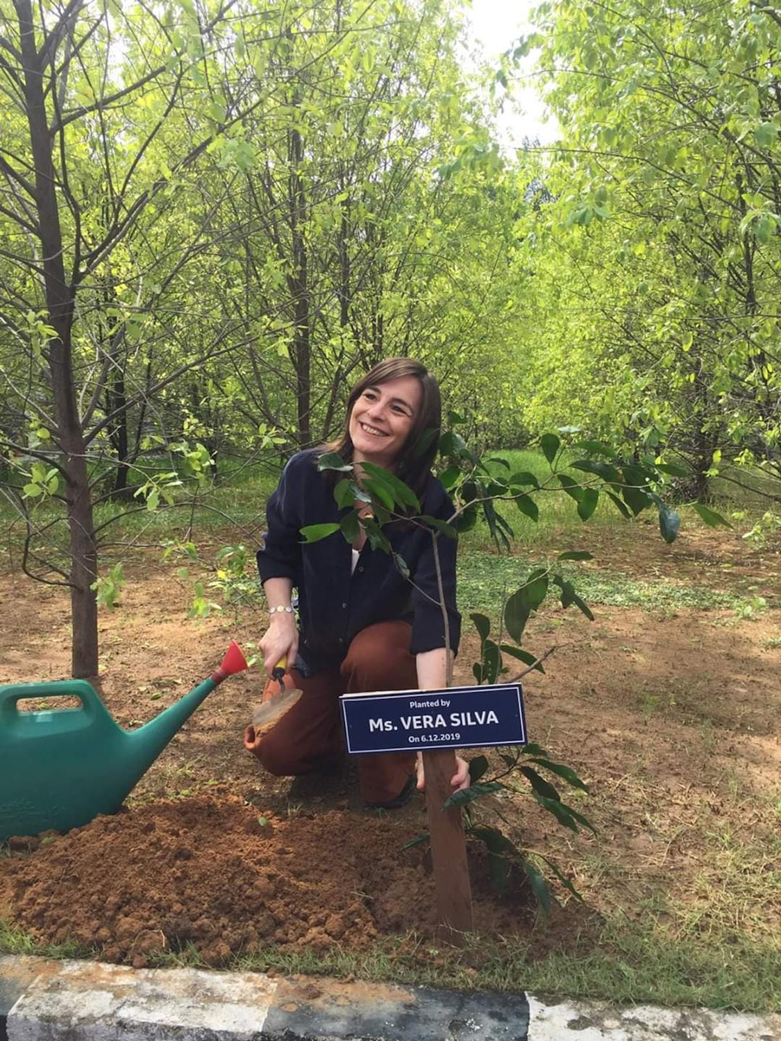 A woman plants a tree