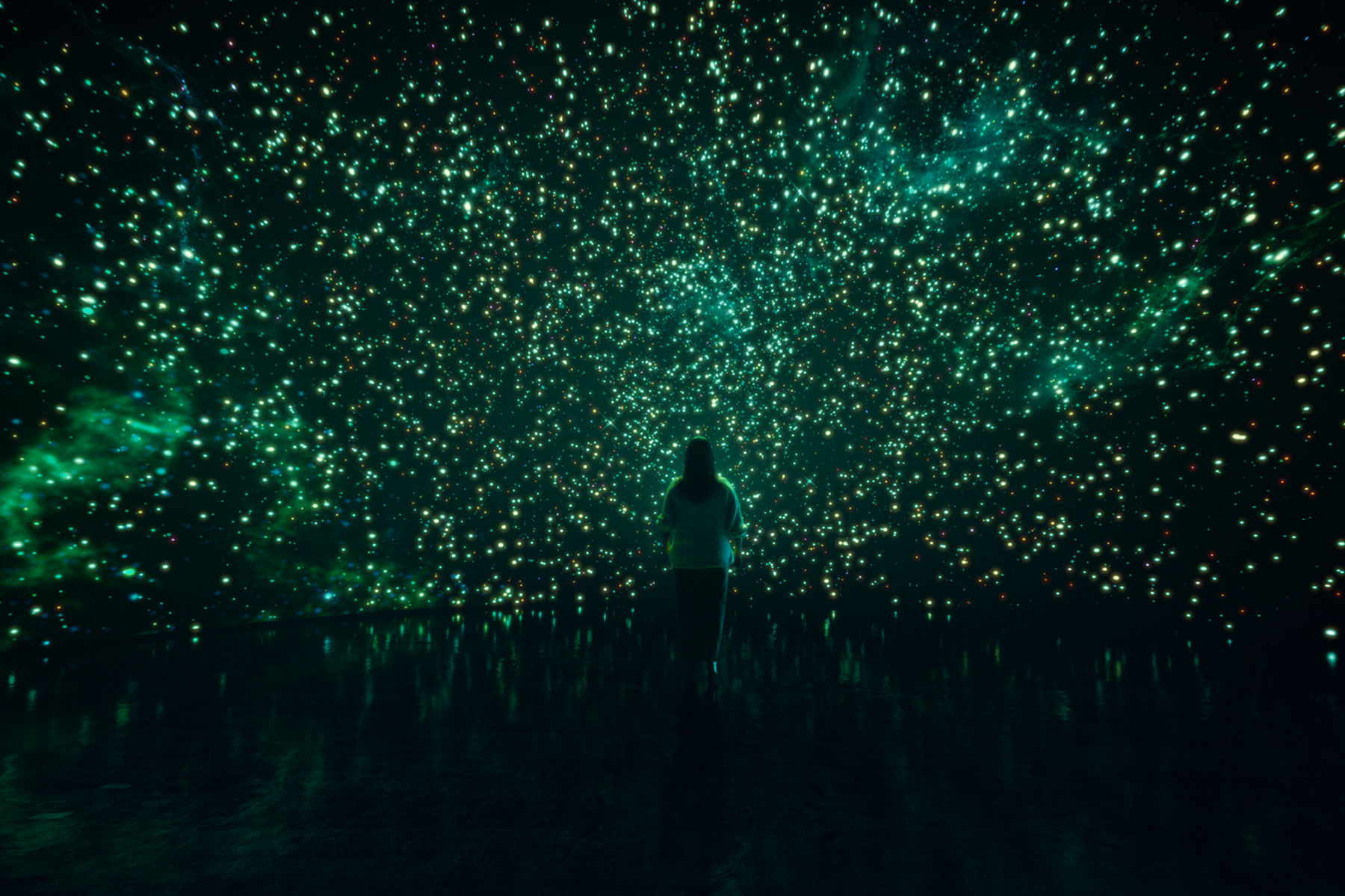 A woman looks at a starry sky